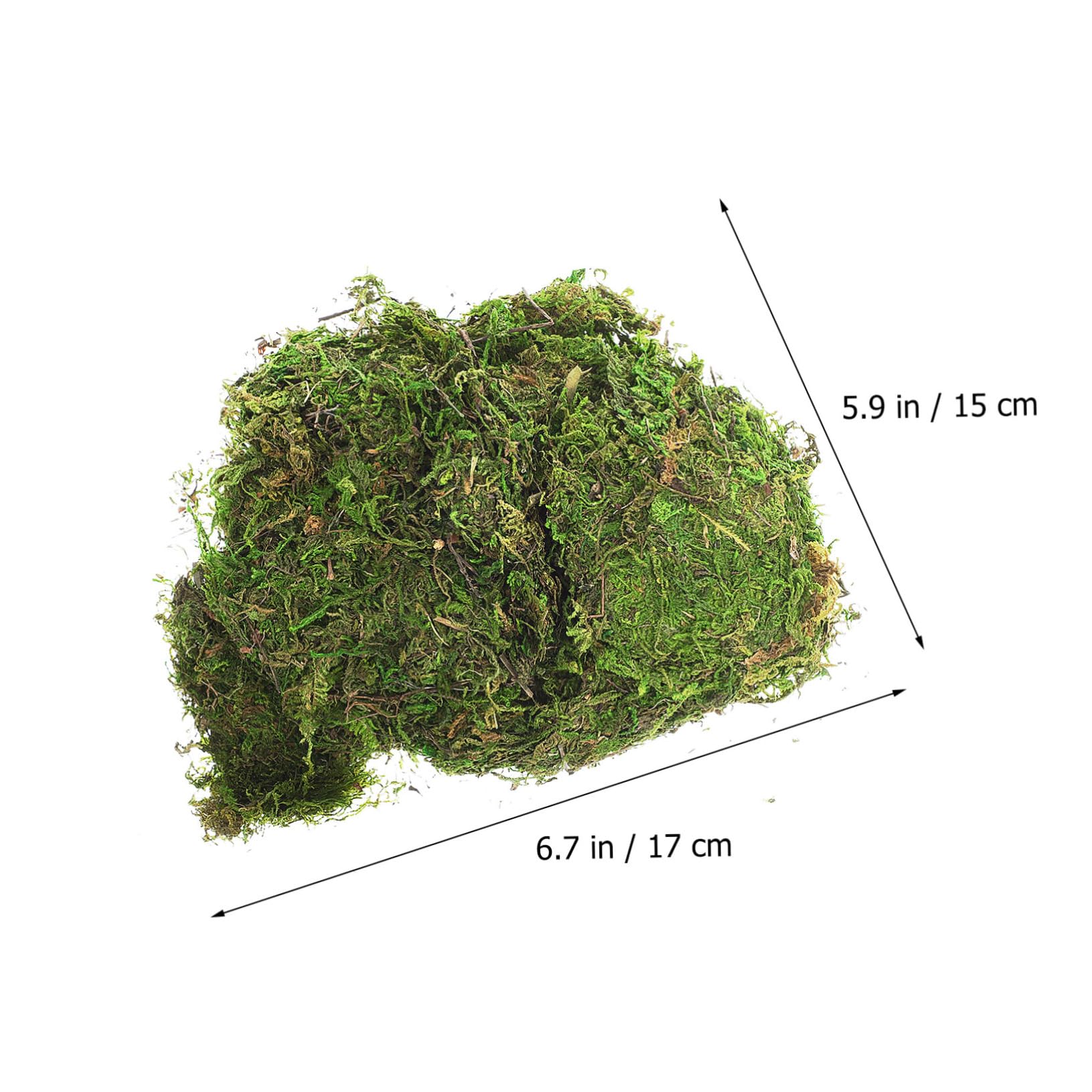 MAGICLULU 5 Piezas Musgo Teñido De Verde Musgo De Bricolaje Falso Verde Artificial Plantas Artificiales Preservado De Jardín De Hadas Plantas Falsas Helecho Flor Preservada