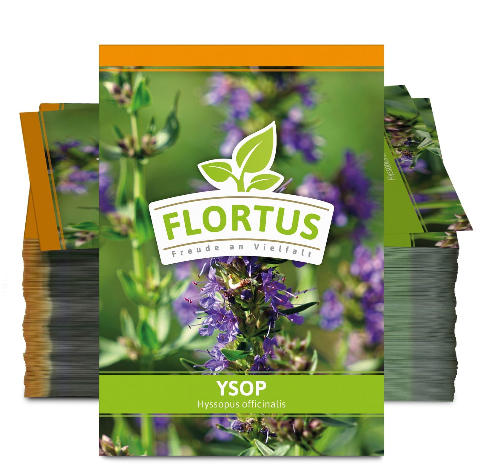 FLORTUS 2000-0469-100x Ysop (100 Tütchen) (Ysopsamen)