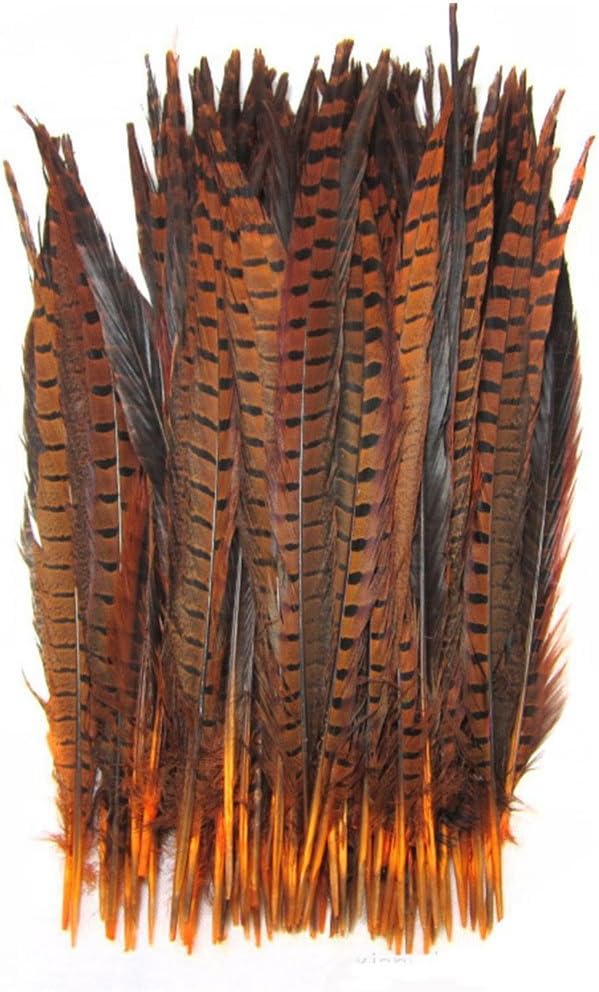 KOLIGHT Set of 50pcs Natural Dyed Pheasant Tails Feathers 12-14 Inch DIY Decoration (Orange)
