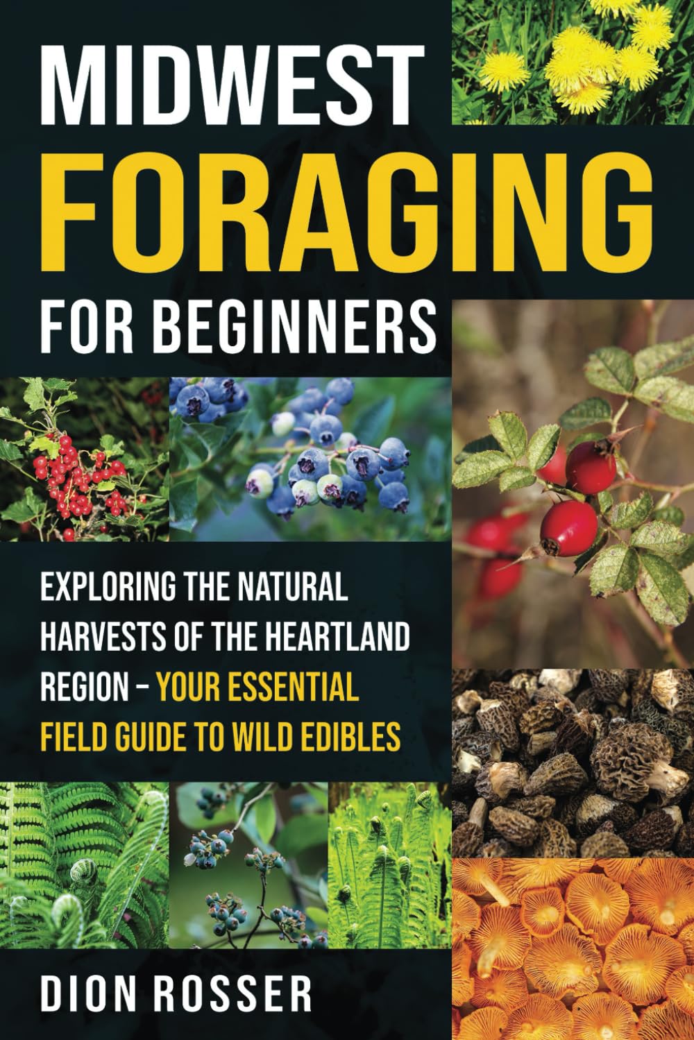 Midwest Foraging for Beginners: Exploring the Natural Harvests of the Heartland Region - Your Essential Field Guide to Wild Edibles