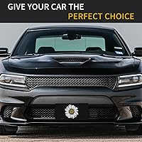 Vista 8 de Placa de matrícula retro Daisy, placa de matrícula delantera decorativa para el auto, placas de matrícula novedosas de aluminio, etiqueta de a-5