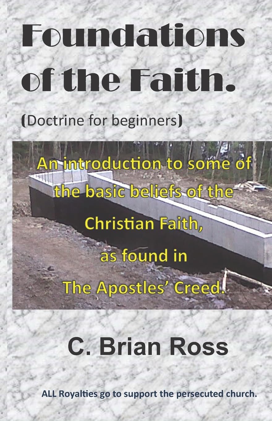 Foundations of the Faith: Doctrine for beginners: Volume 2 (Getting to know you ...)