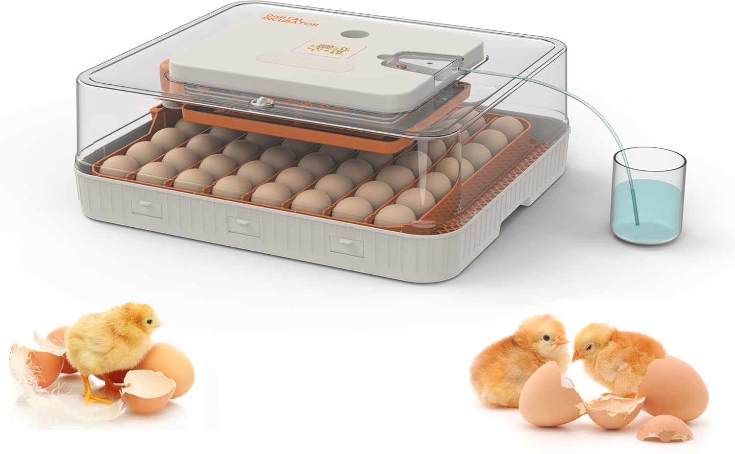Egg Incubator for Hatching Eggs, Intelligent 56 Eggs Incubator with Temperature & Humidity Control, Automatic Egg Turning, Hatch Days & Egg Candler, Adjustable