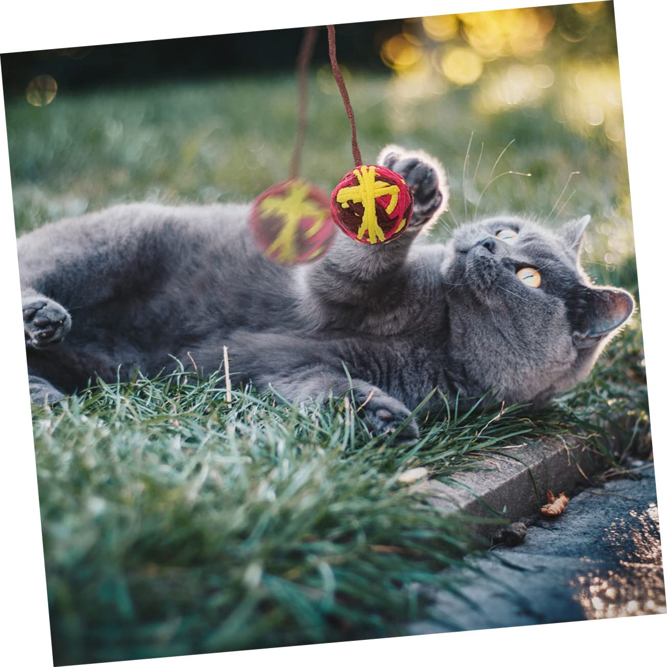 SUPVOX 25pièces Balles Colorées avec Clochettes pour Chats Jouets Portables Amusants pour Chatons Et Accessoires De Jeu pour Chats Style Mixte