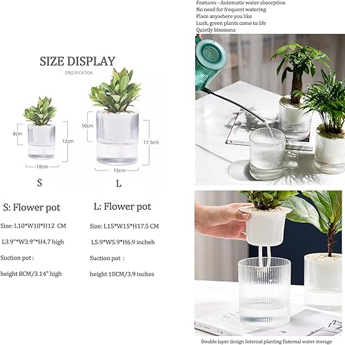 Miniatura 5 de Macetas de riego automático de 4.7 pulgadas, caja transparente de riego automático para plantas de interior, flores, exteriores, alféizar de