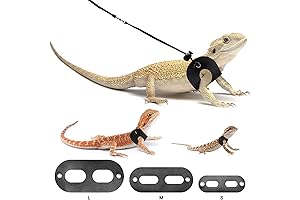 BWOGUE Adjustable Leather Baby Bearded Dragon Leash with Harness
