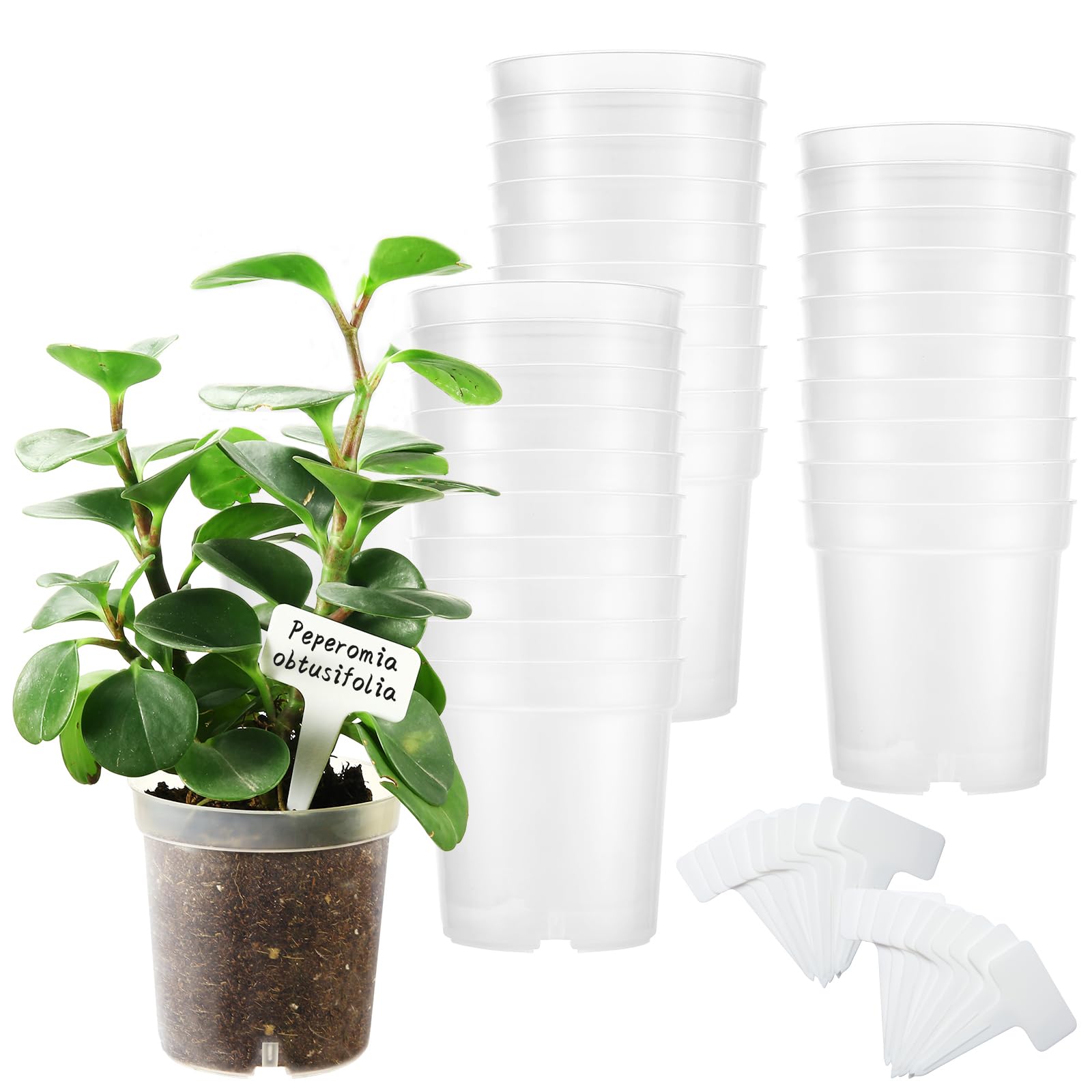 30 macetas transparentes de 4 pulgadas para plantas, macetas de plástico transparente con agujeros de drenaje, macetas de inicio de semillas con 20 etiquetas de plantas para flores, plántulas