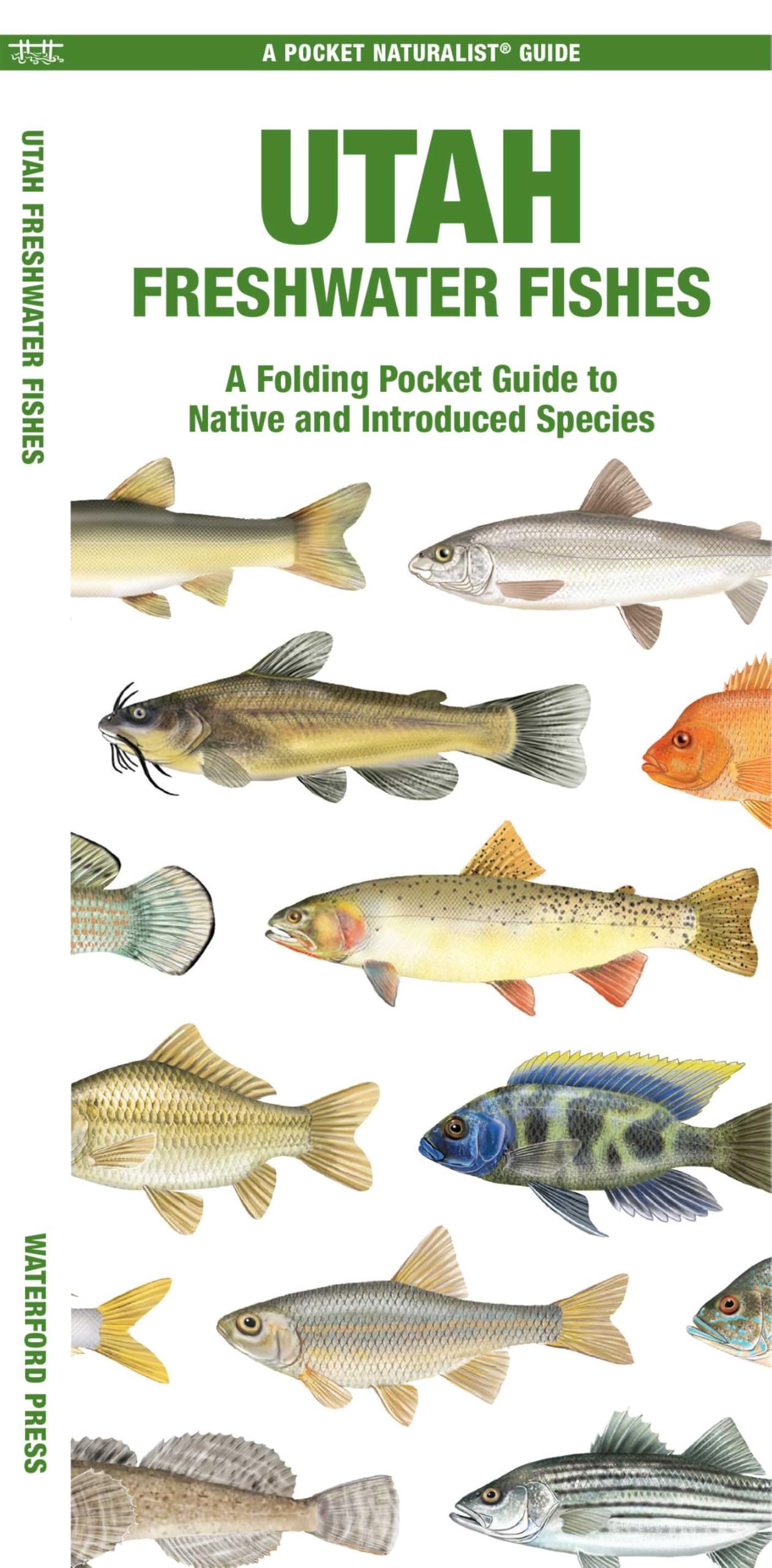 Utah Freshwater Fishes: A Folding Pocket Guide to Native and Introduced Species (Nature Observation North America)