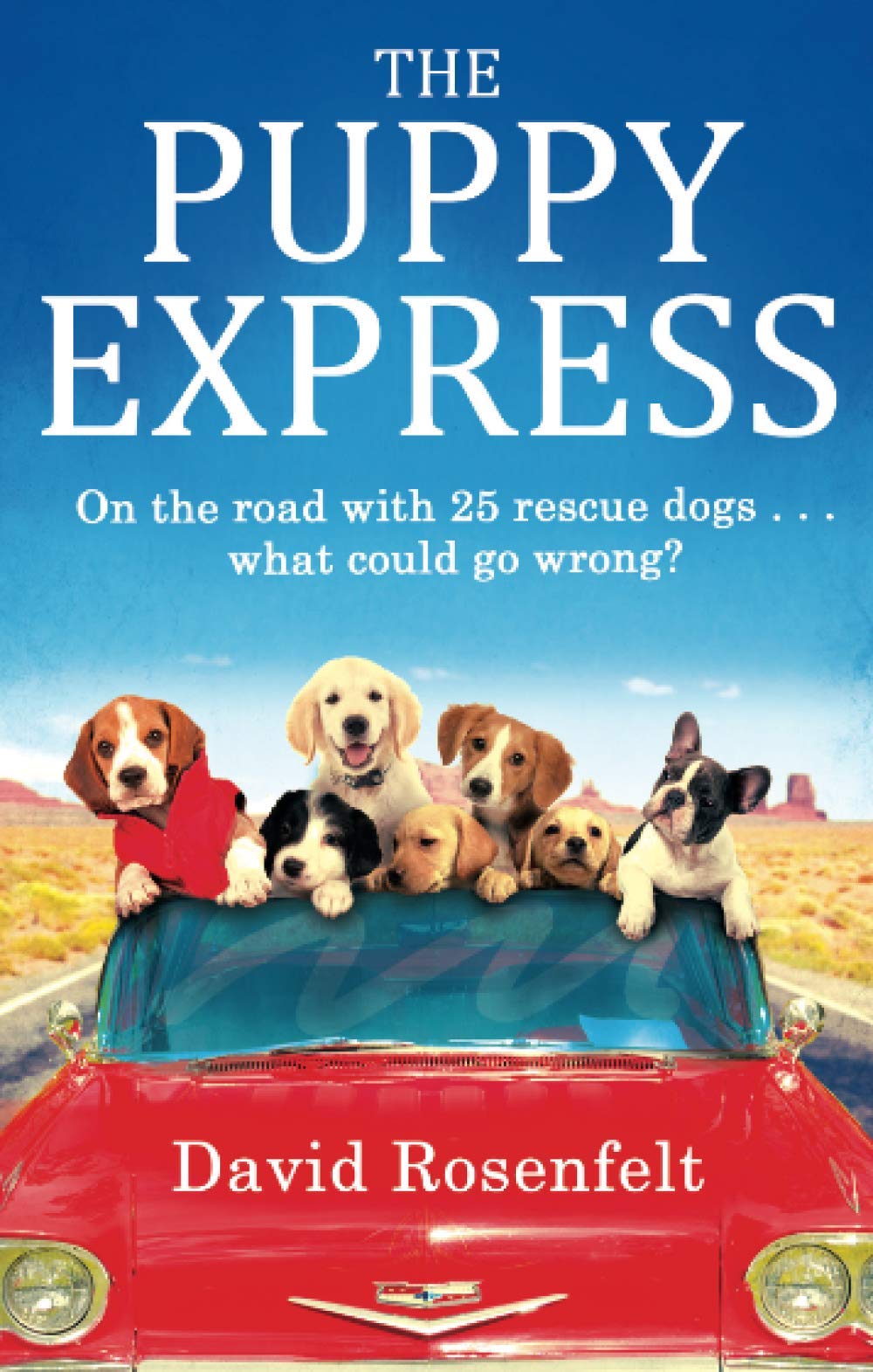 The Puppy Express: On the road with 25 rescue dogs . . . what could go wrong?