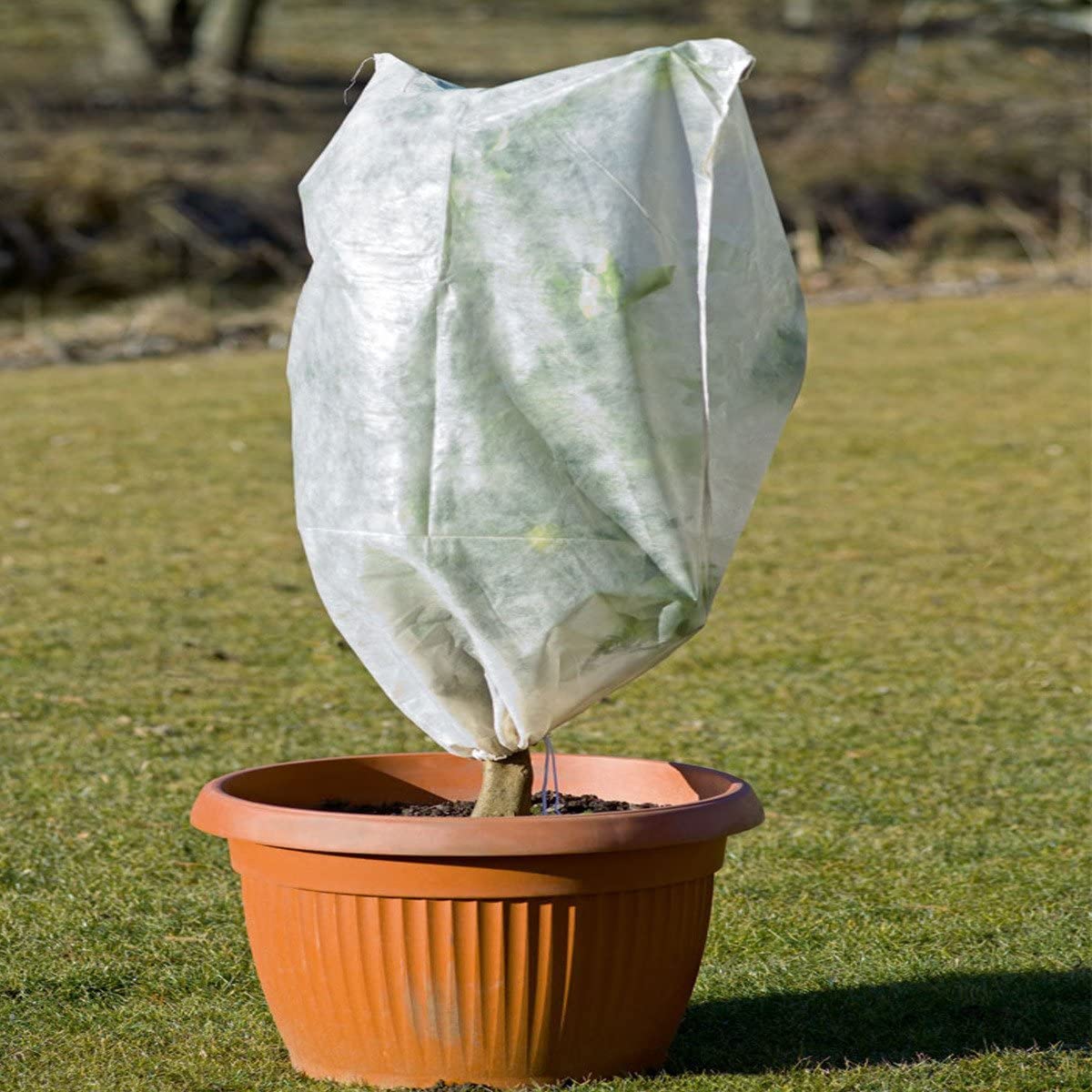 Lif Thermal Tower Telo Termico antigelo in Tessuto Non Tessuto da 30 Gr/mq per la Protezione di Piante Fiori ortaggi dal Freddo Gelo e grandine (1,6x250 Metri)