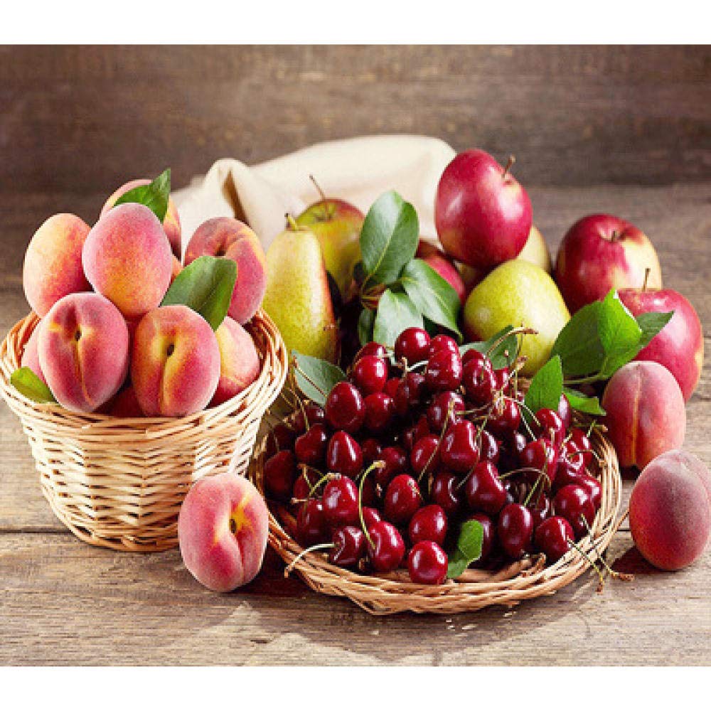 Broderie diamant fruits en résine de qualité supérieure 50x60
