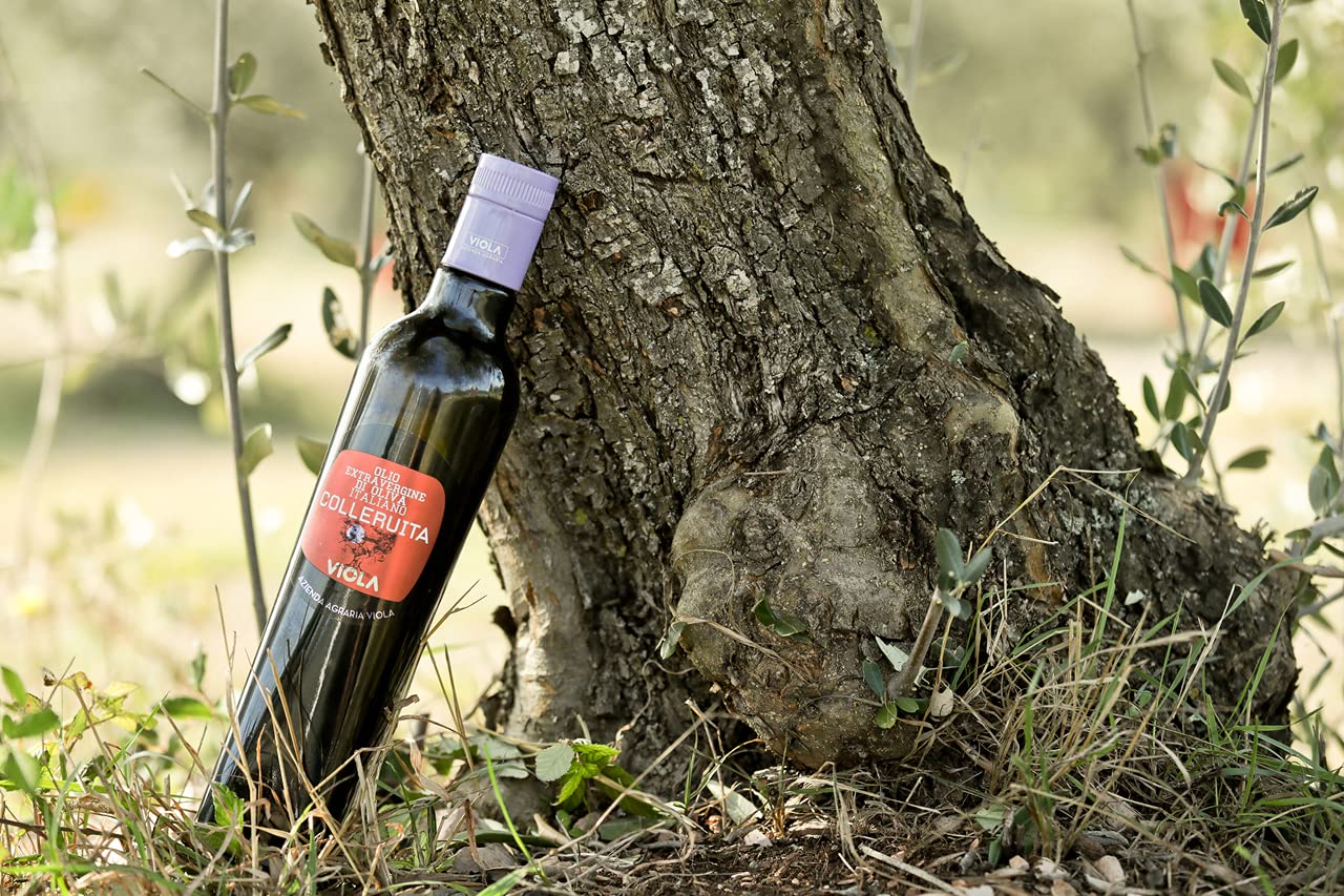 Viola Colleruita Dop Umbria Colli Assisi-Spoleto 2020 Harvest Extra Virgin Olive Oil by Viola – Robust Italian EVOO from Moraiolo Olives – Cold-Pressed – 16.9 fl oz / 0.5 Liter – Best in Class Sol d’Oro