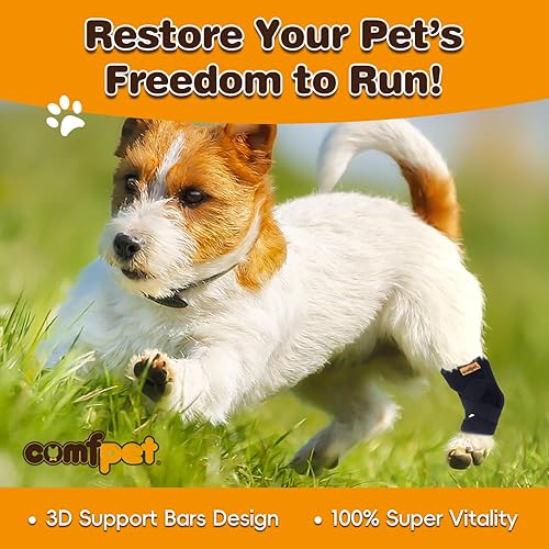 Miniatura 3 de Soporte para perros pequeños (5 a 15 libras), soporte ajustable para patas traseras para chihuahua, pomerania, yorkie, artritis, desgarros de ACL y