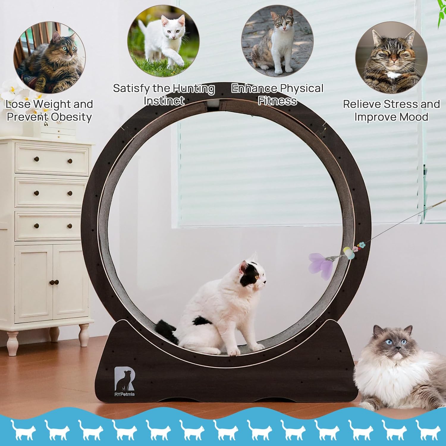 43 Large Cat Exercise Wheel for Indoor Cats, Quiet Cat Running Wheel with Safety Lock, Non-Tip Treadmill for Cats Up to 55 lbs