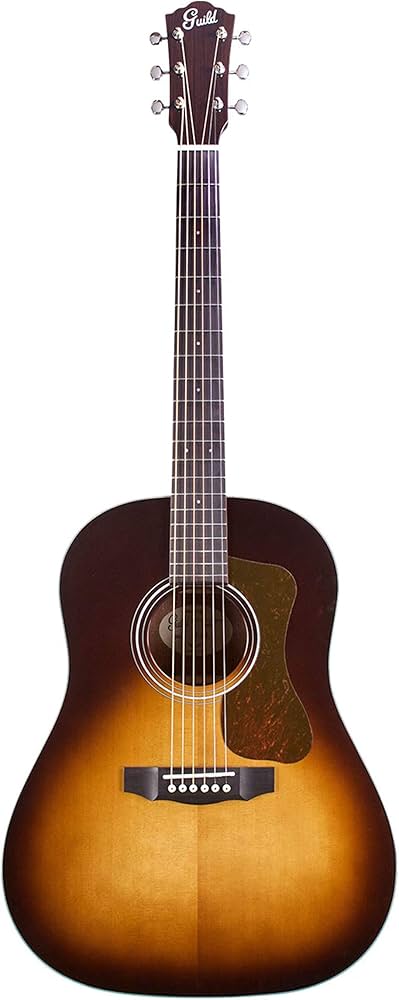チ*ン様 新品同様！GUILD 〈ギルド〉 DS-240 MEMOIR 専用ギグ Guild DS-240 Memoir - Vintage Sunburst : Amazon.ca: Musical