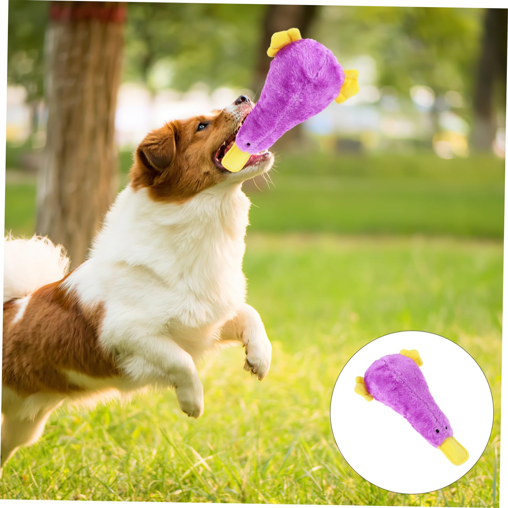 HANABASS Jouet pour Chien Qui Couine Jouet à Mâcher pour Chiot Oiseau Motif Dessin Animé