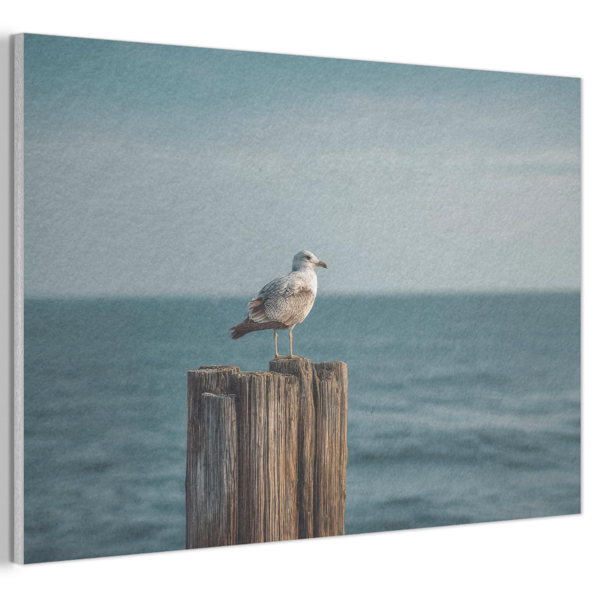 MuchoWow© Felt Panel 60x40 cm House Touch for Living Space Modern Visuals Decoration Wall Art Gull - Pole - Sea
