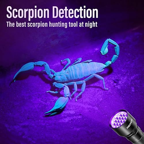 Miniatura 7 de RECHOO Linterna UV de luz negra, 21 LED 395 nm, linterna recargable ultravioleta, luz UV, linternas portátiles impermeables para detección de orina