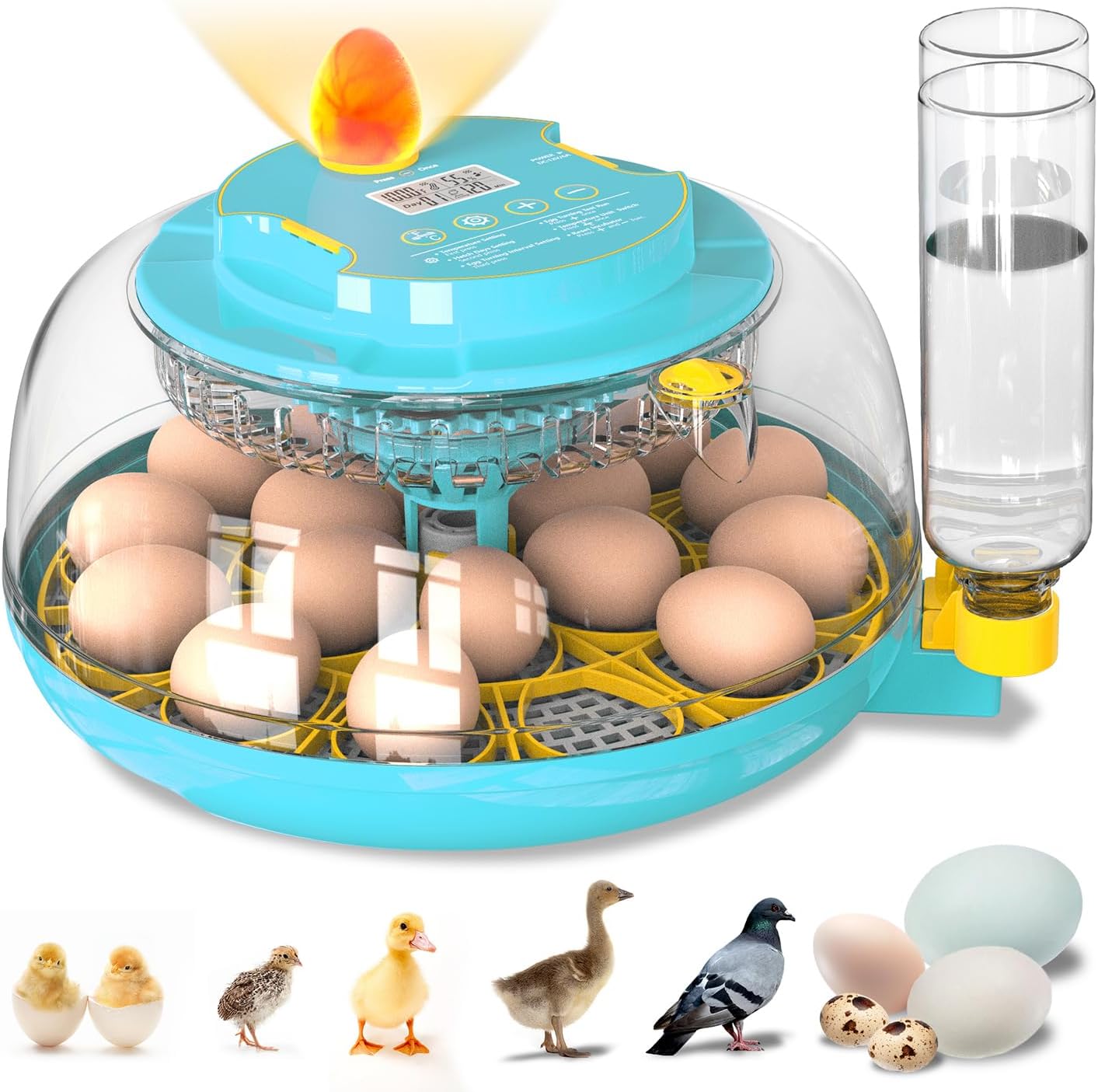 Incubators for Hatching Eggs