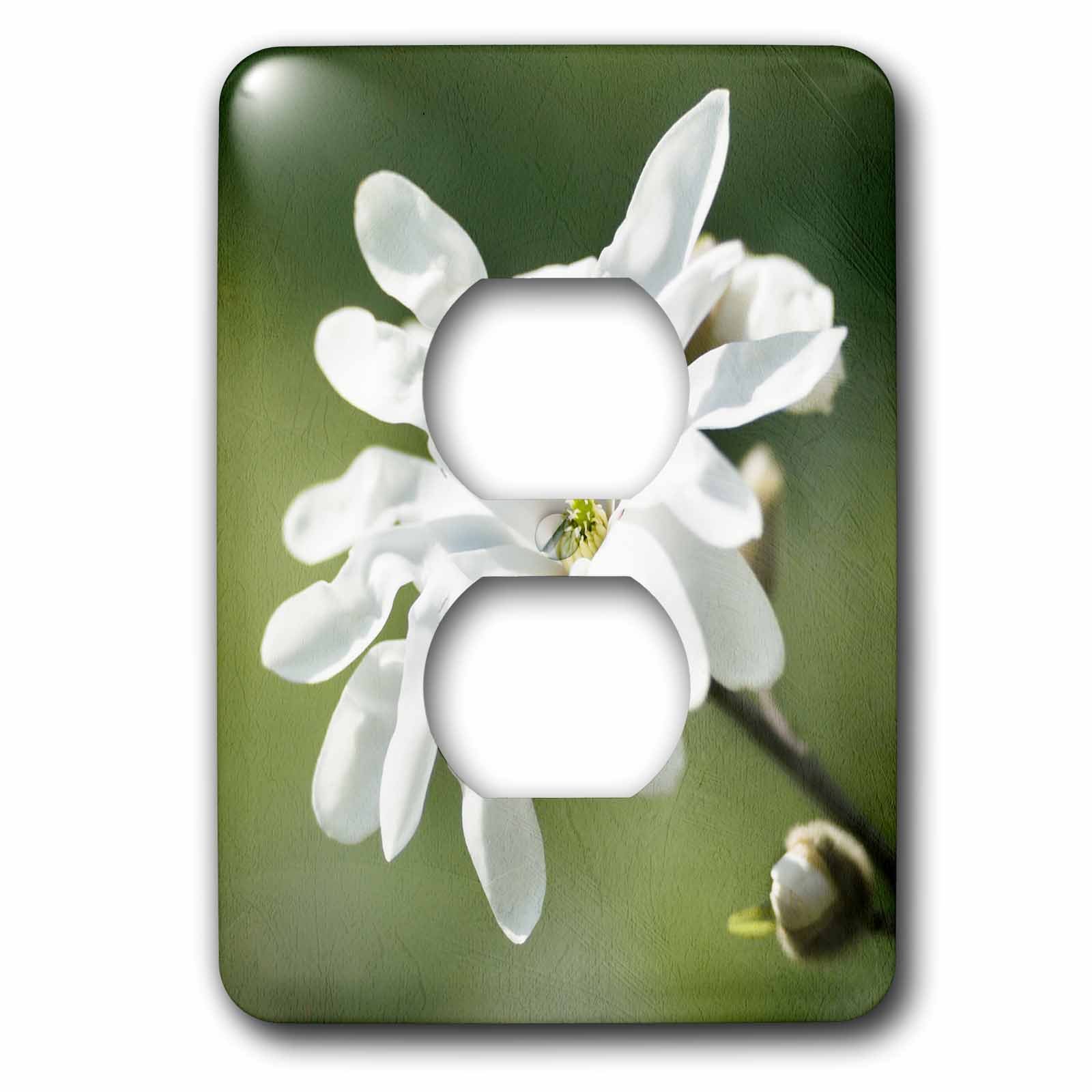 Bouchon photo stylisé magnolia fleur blanc fond vert couverture de prise 3D