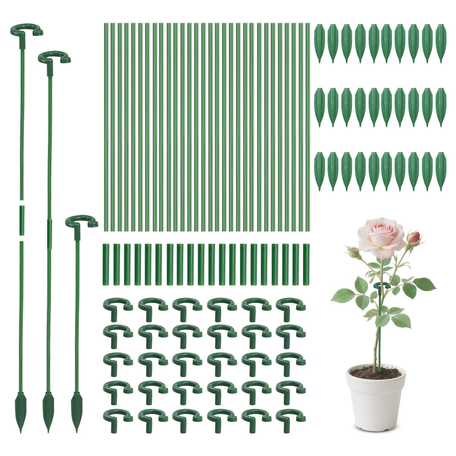 Tuteur pour succulente de 17 cm au design épuré pour petits pots