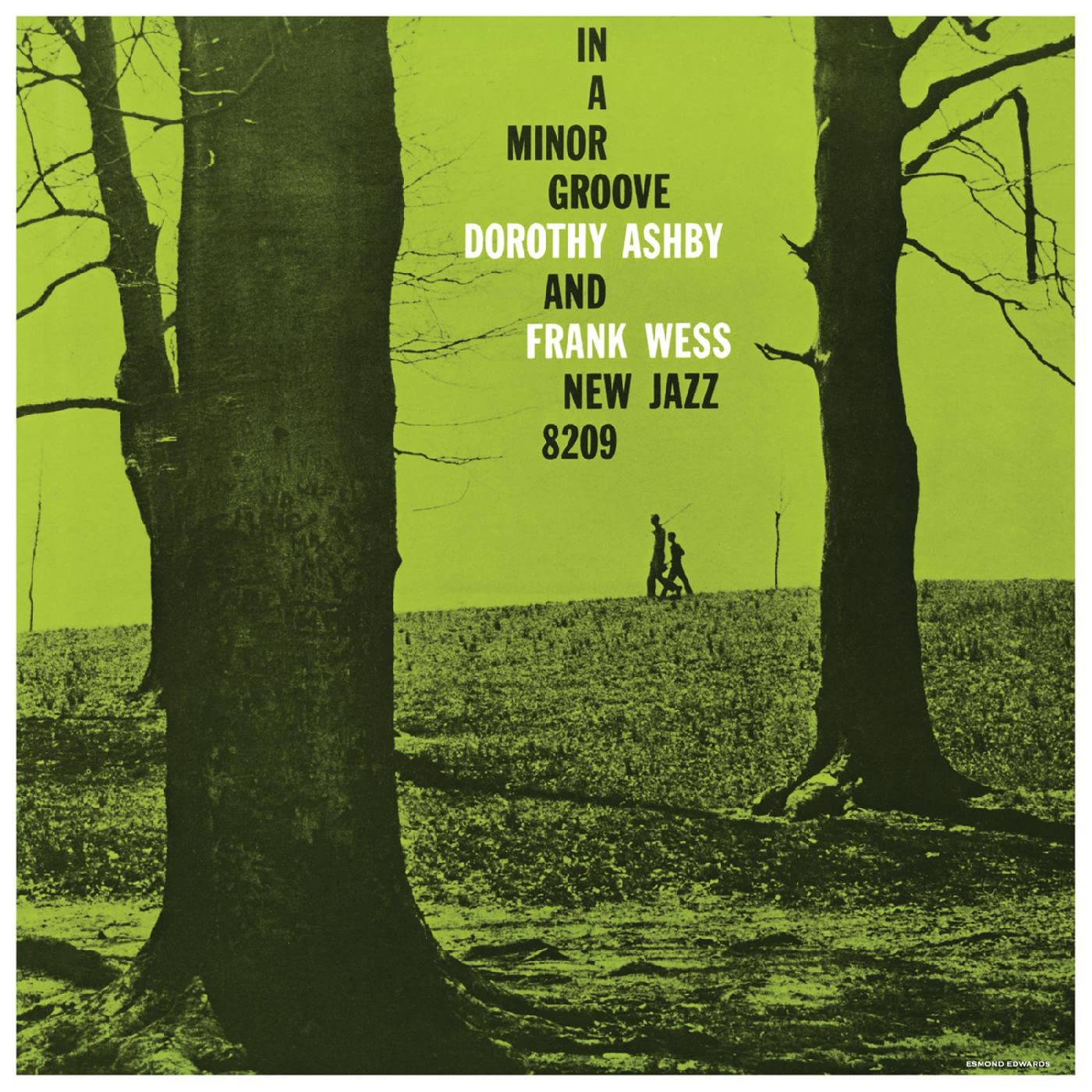 In A Minor Groove [VINYL]