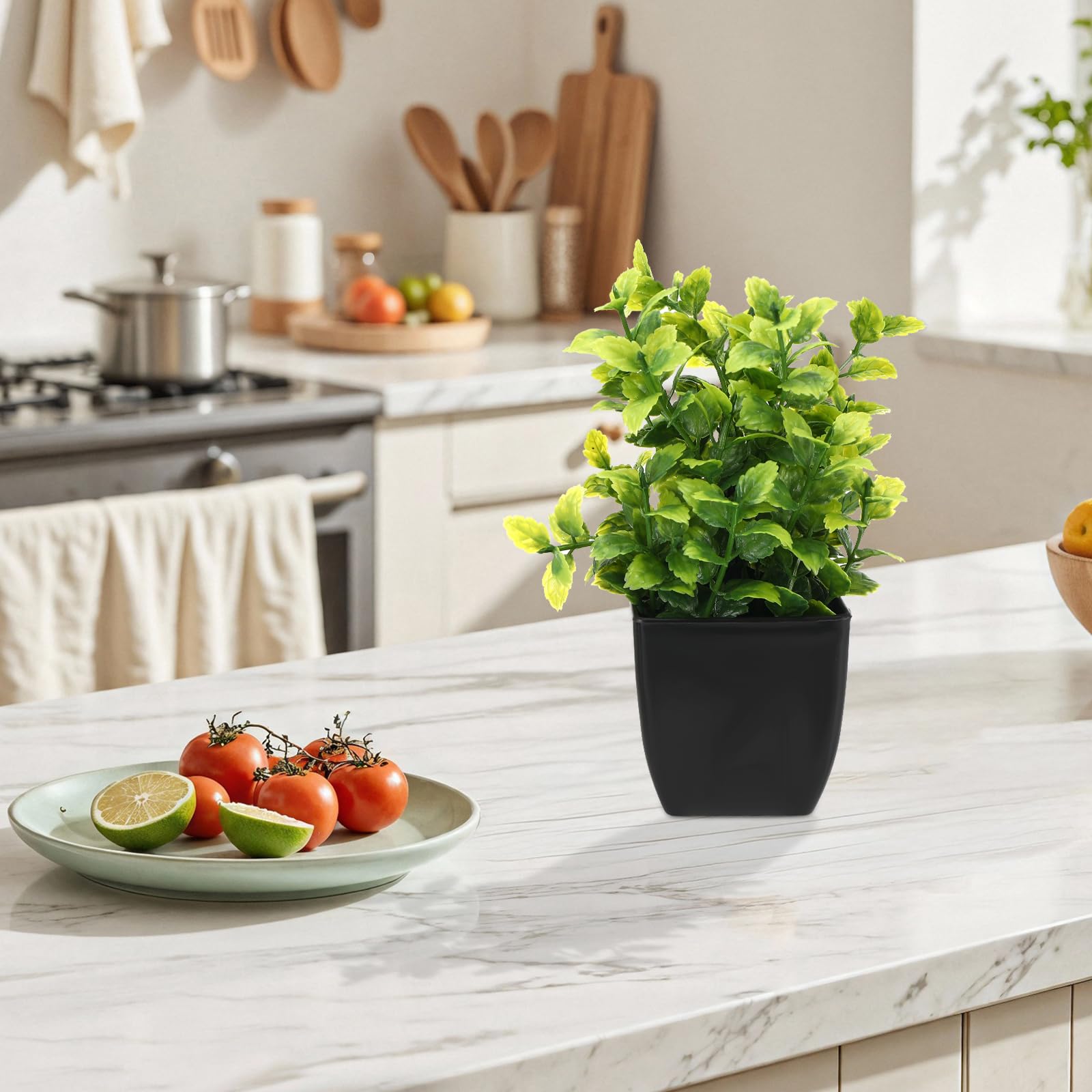 Royouzi 6 Piante Artificiali, Piccole Mini Piante Artificiali In Vaso, Vasi da Fiori Artificiali, Adatte per Arredare Uffici, Camere da Letto, Terrazze, Soggiorni e Bagni (nero)