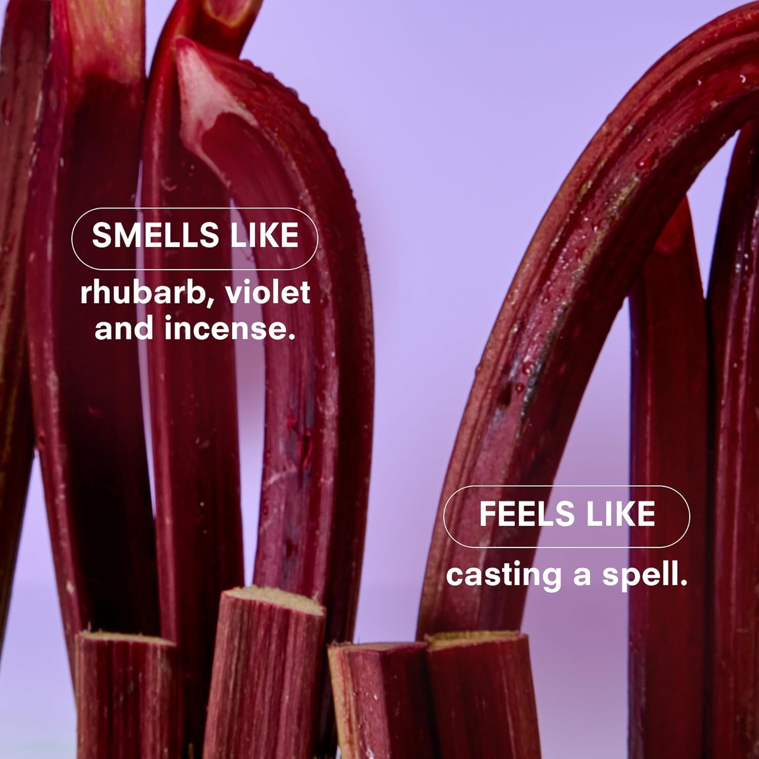 Boy Smells Violet Ends Candle - 27 oz - Aromatic Candle for Home with Rhubarb, Violet and Smoked Papyrus - Up to 100-Hour Burn - Cotton Wick