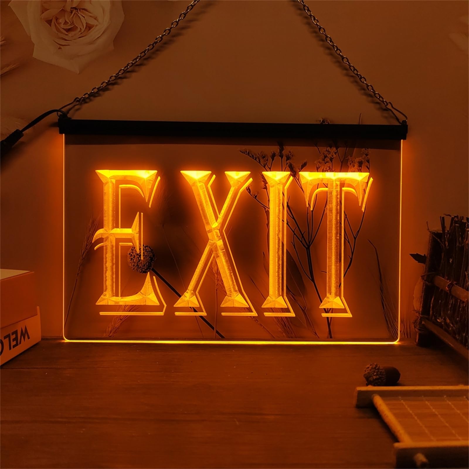 Zayeksole Exit Neon Sign for Wall Decor, USB Powered Dimmable LED Neon Light Up Sign for Hotel Garage Exit,Orange,30x20cm