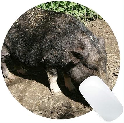 Amazon 動物デザインかわいい赤ちゃん豚マウスパッド イノシシラウンドマウスパッド Yanteng マウスパッド 通販 Amazon 動物デザインかわいい赤ちゃん豚マウスパッド イノシシラウンドマウスパッド Yanteng マウスパッド 通販