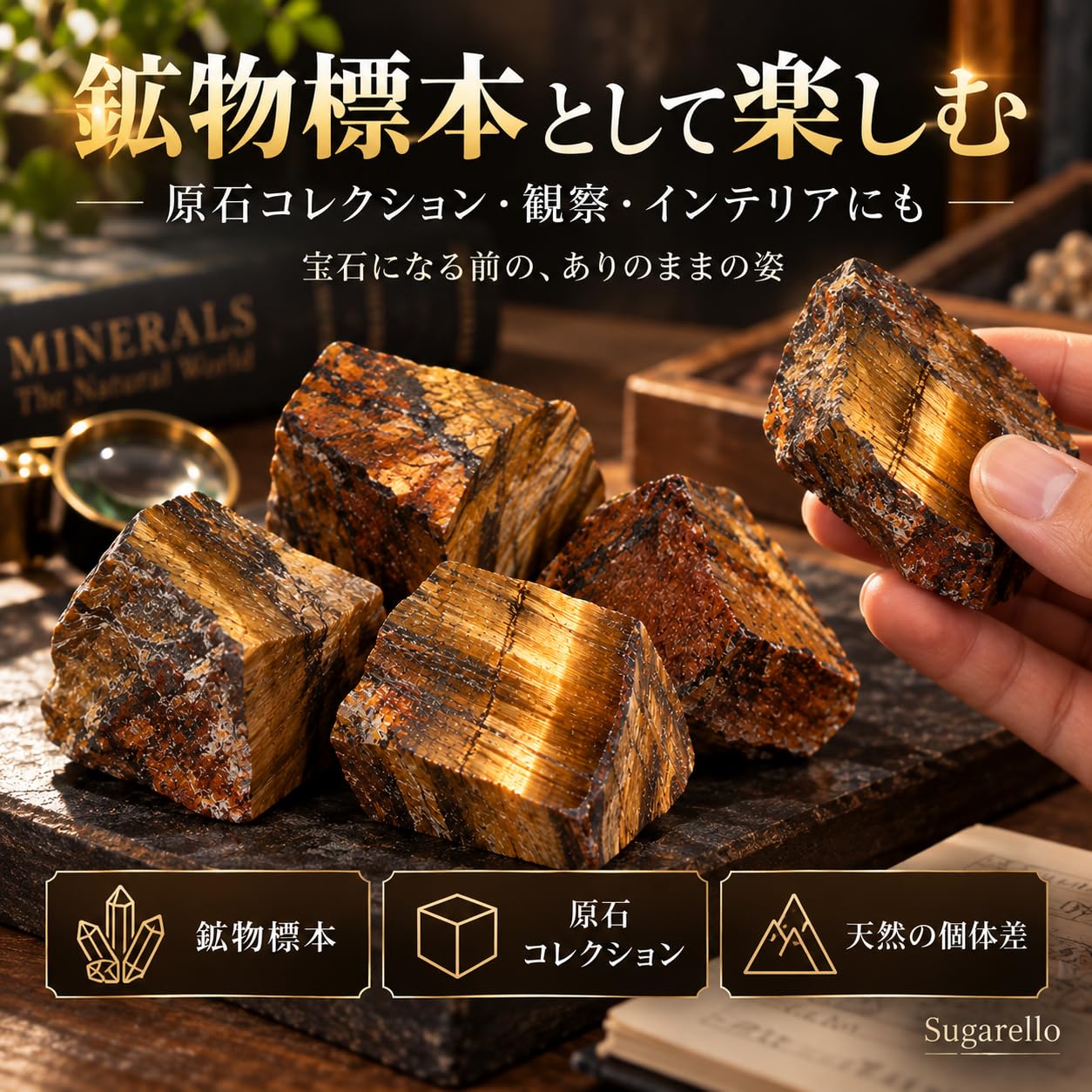Amazon | Sugarello 虎目石 タイガーアイ 鉱物 標本 天然石 原石