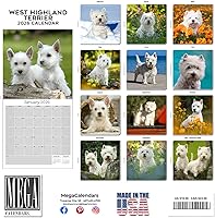 Vista 1410 de Razas de Perros 2017