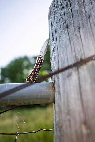 Miniatura 4 de Uncle Henry 301UH Next Gen - Cuchillo de hoja fija SS de alto carbono de 6.5 pulgadas con hoja de 3.25 pulgadas y mango de estaglón para