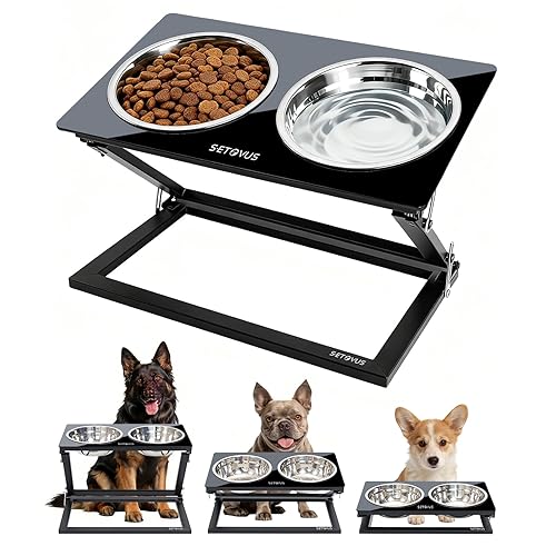 Elevated Dog Bowls, Adjustable Raised Dog Bowl Stand with 2