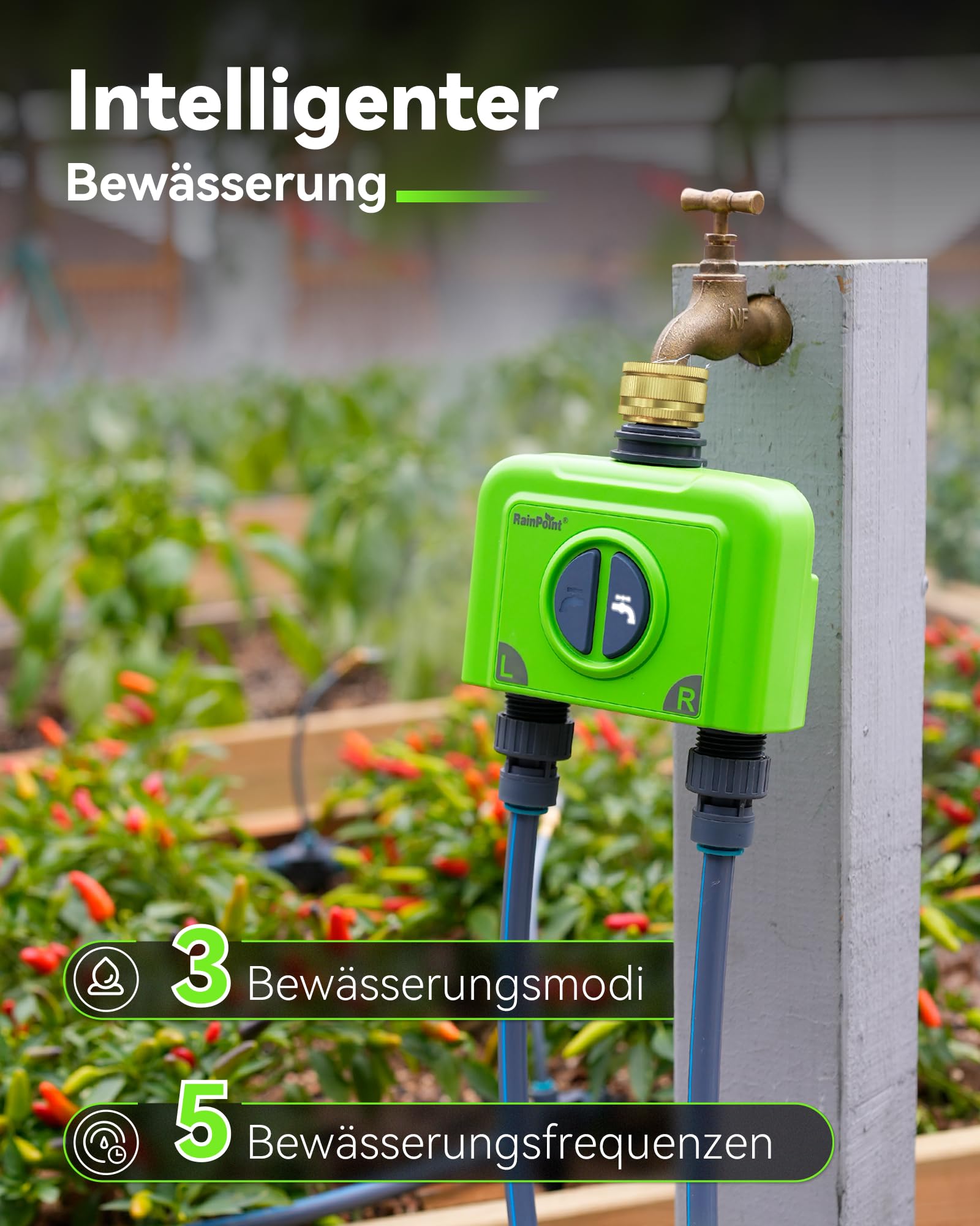 RAINPOINT Programador Riego WiFi 2 Salidas, Puerta Enlace Ethernet y Entrada de Latón, Riego Automatico para Jardín Via App/Voz Control, Riego Basado Clima, Retraso por Lluvia/Manual, 2x6 Horarios