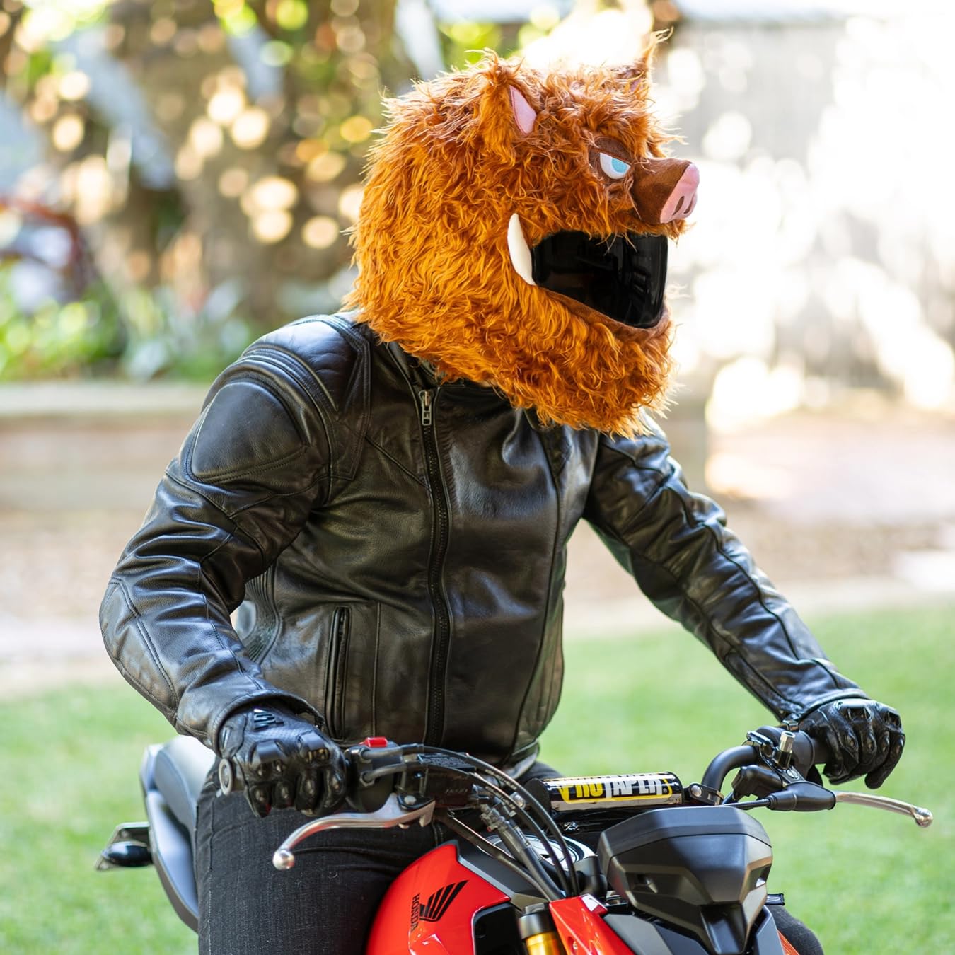 Amazon.com: Moto Loot Helmet Cover for Motorcycle Helmet, Fun Rides and  Gifts (Cover Only. Helmet Not Included) - Wild Boar : Automotive