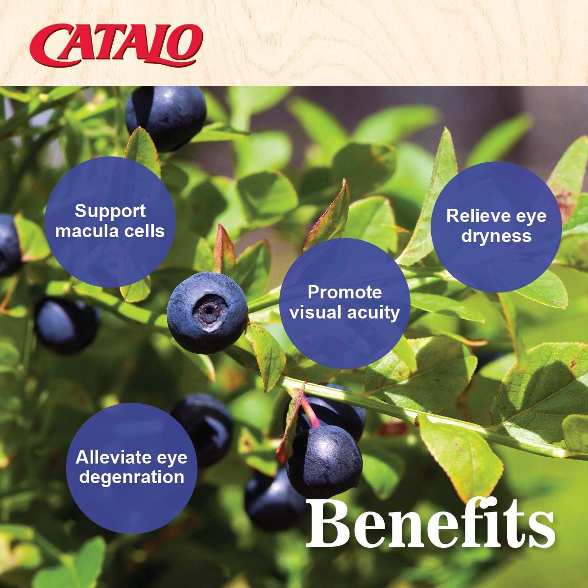 Bilberry Eyebright Extract Gold - for Fatigue & Blurry Vision - Eye Vitamins with Bilberry Lutein and Zeaxanthin Supplements for Eye Clarity -Halal - 60 Capsules - Image 5