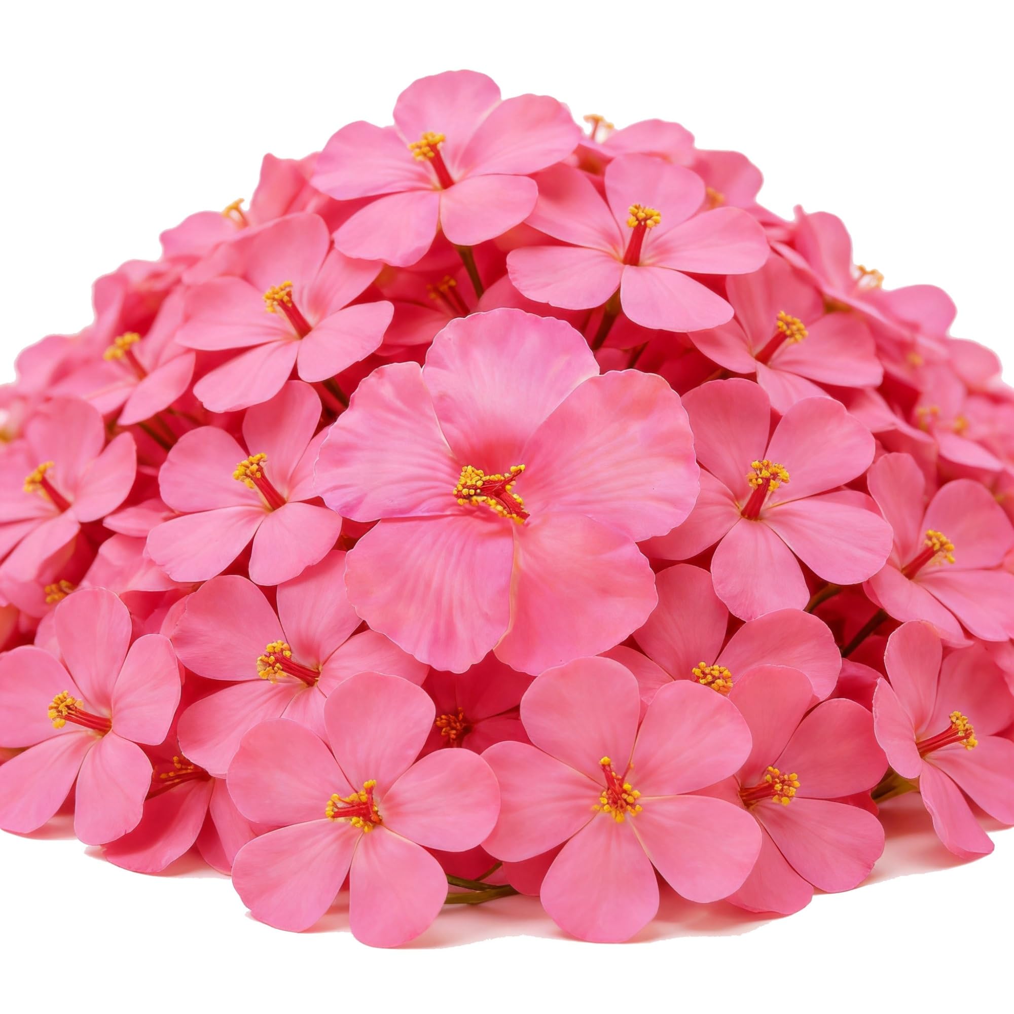 Fleurs d'hibiscus artificielles roses : lot de 100 décorations pour gâteaux et fête
