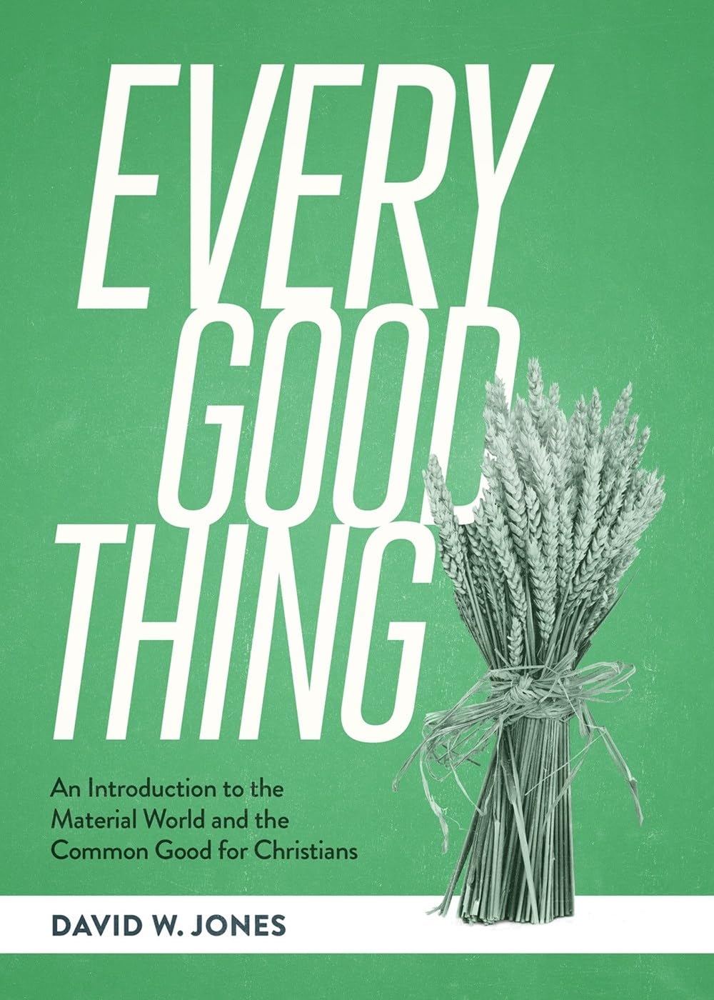 Buy Every Good Thing: An Introduction to the Material World and the Common Good for Christians (SEBTS) — BookShops.in