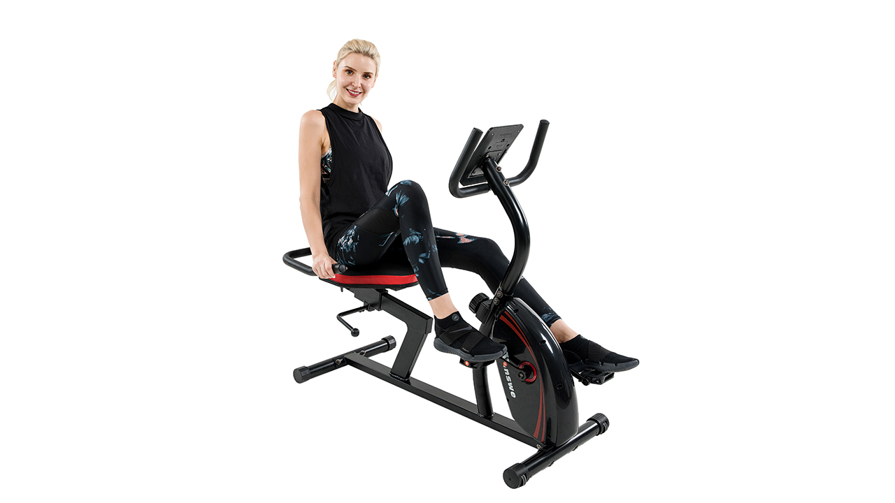 vanswe recumbent exercise bike
