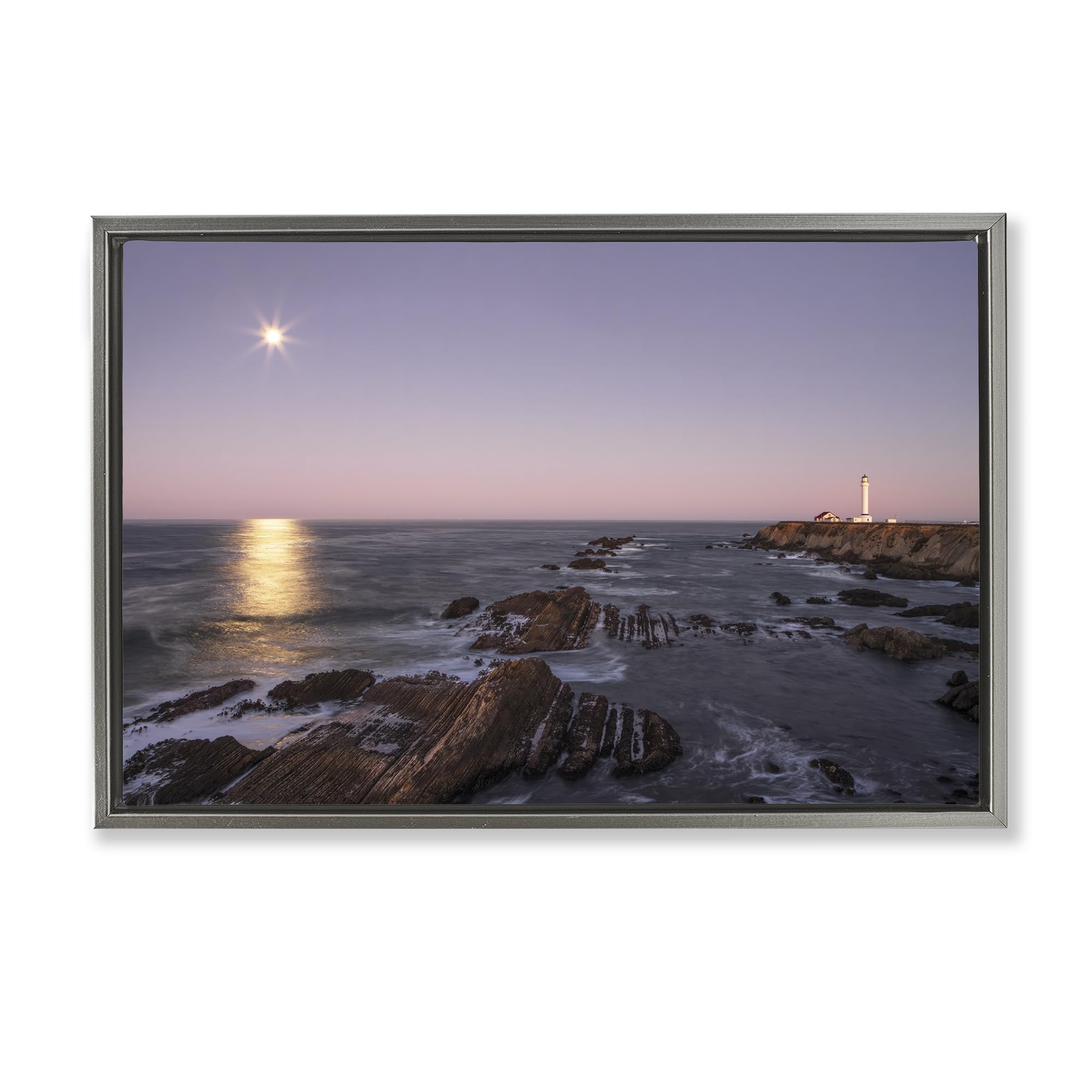 Stupell Industries Luster Gray (Matte) 'Moon Arena Coastline'| Floating Frame Canvas Art