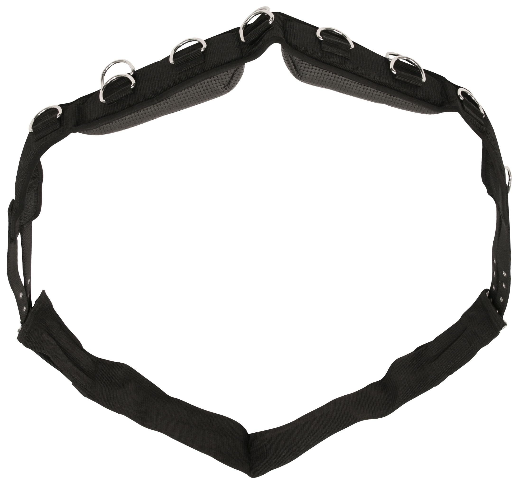 KERBL Cinchuelo para Dar Cuerda de Nailon, 9 Anillos Poni, cincha Regulable