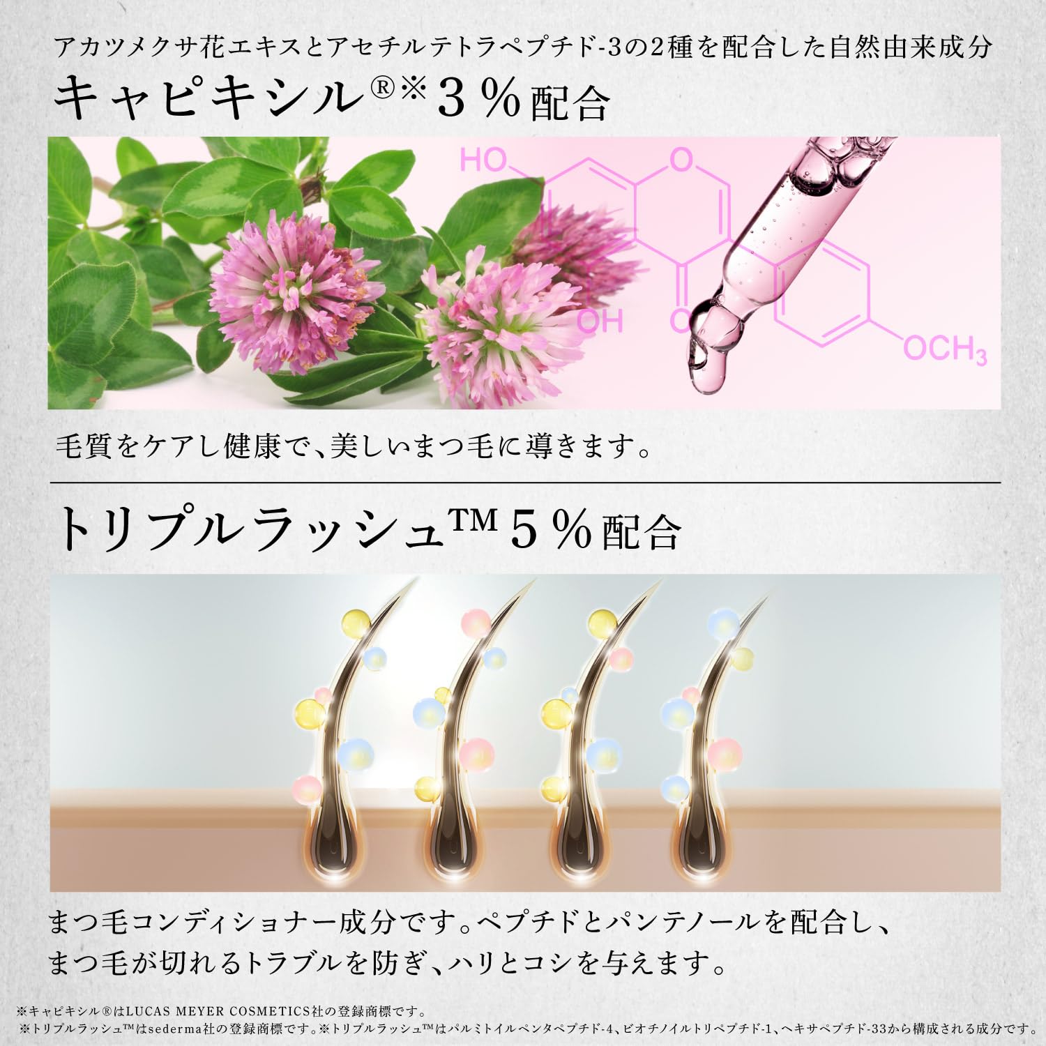 Amazon.co.jp: MAI ARAI ラッシュセラム まつげ美容液 : ビューティー