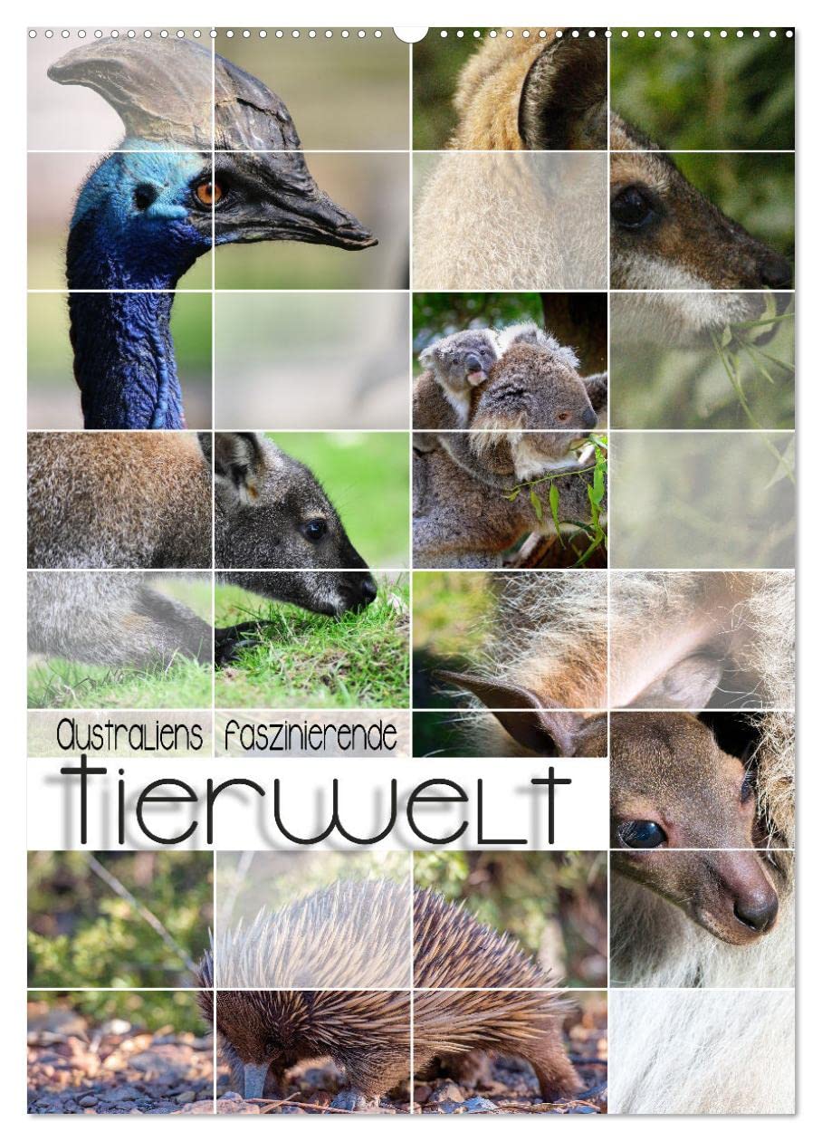 Australiens faszinierende Tierwelt (Wandkalender 2026 DIN A2 hoch), CALVENDO Monatskalender: Beeindruckende, exotische Tiere des roten Kontinents hautnah abgelichtet (CALVENDO Tiere)