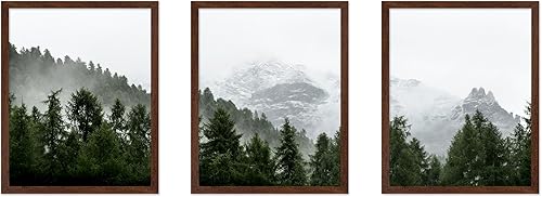 Miniatura 19 de Poster Master Póster de ilustración vintage de 3 piezas, impresión botánica retro, arte de pared sin marco de 8 x 10 pulgadas, regalo para artista,