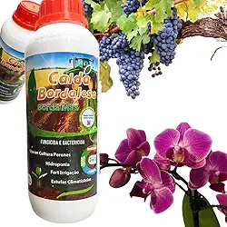 Fungicida e Bactericida para Flores, Orquídeas, Cactos, Suculentas e Plantas de Vaso