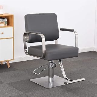 Classic Salon Chair for Barbershop Hair Stylist, Salon Chairs for Hair Stylist Barber Chair Booster, Heavy Duty Reclining Hydraulic Hair Styling Chair Hair Salon (Color : B)
