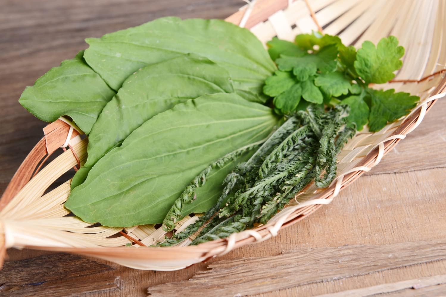 Health Embassy Greater Plantain Leaf | Plantago Major L | Herbal Tea (100g)