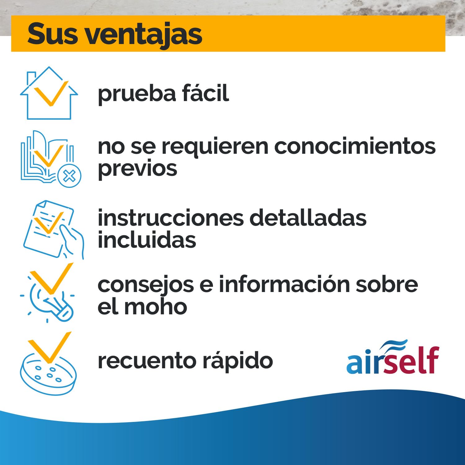 Test de moho para el hogar – Test rápido para 6 habitaciones – Evaluar calidad del aire y moho en interiores y hogar