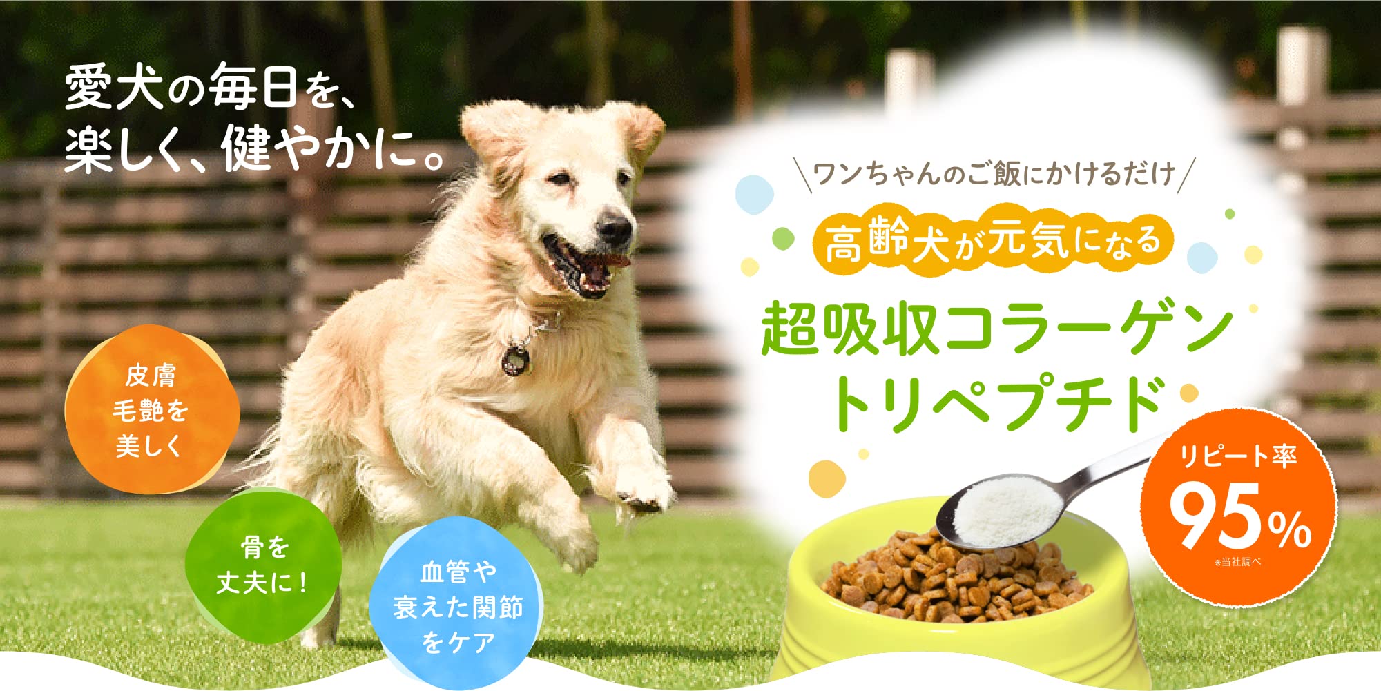 犬用サプリメント コムペット W善玉菌 オールインワンサプリメント ハオーラ 犬用